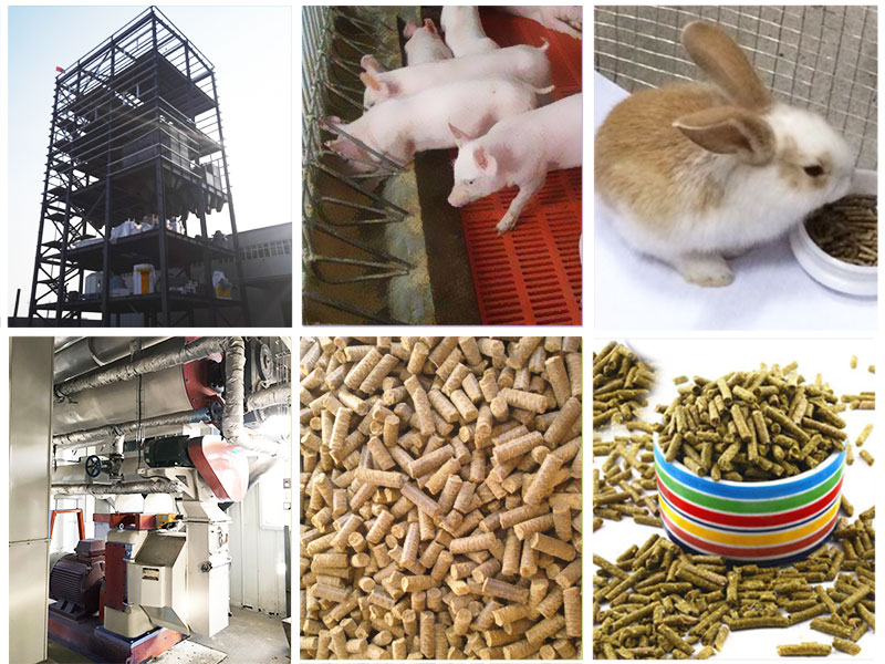 動物飼料加工